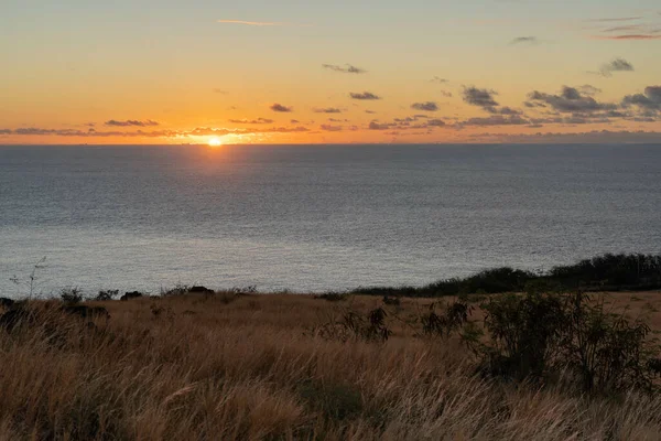 Een Adembenemend Uitzicht Een Tarweveld Een Zee Achtergrond Tijdens Zonsondergang — Stockfoto