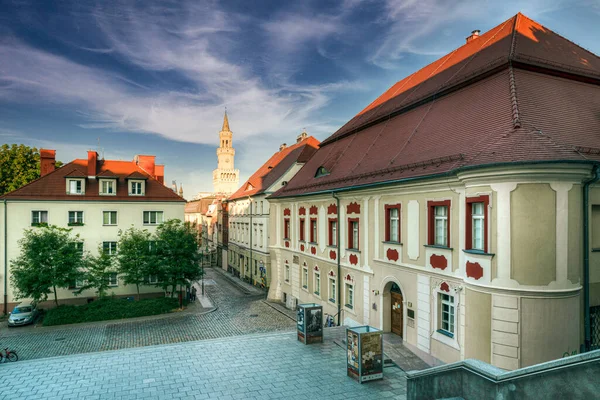 Beau Paysage Sur Musée Opole Silésie Mairie Opole Pologne — Photo