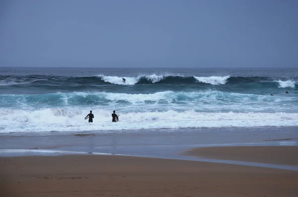 Surfistas Costa Algarvia Praia Beliche Sagres Portugal Portugal Fim Europa — Fotografia de Stock