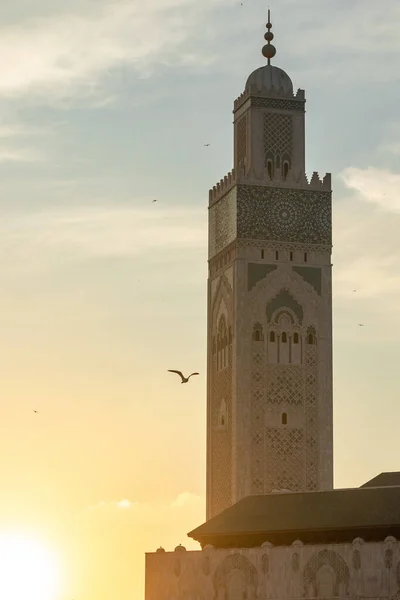 Colpo Verticale Della Moschea Hassan Casablanca Marocco — Foto Stock