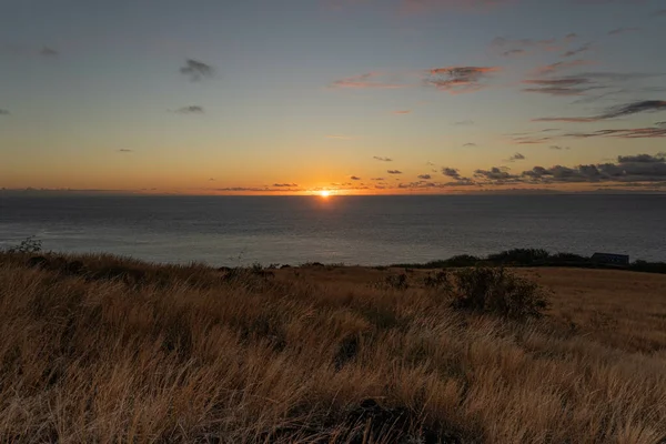 Ein Atemberaubender Blick Auf Ein Weizenfeld Und Ein Meer Hintergrund — Stockfoto