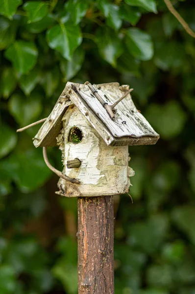 Colpo Verticale Una Casa Uccelli — Foto Stock