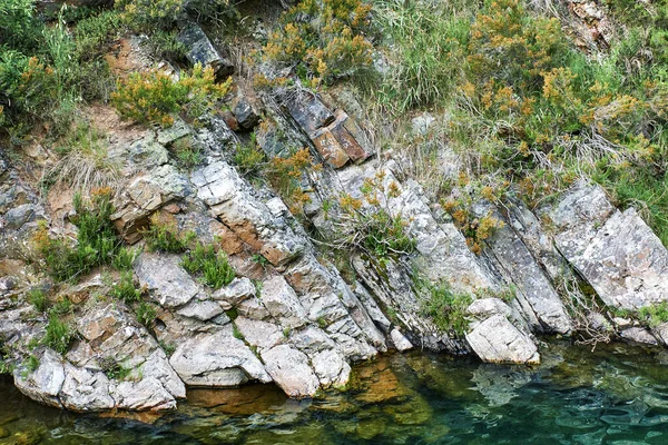 Крупним Планом Скелі Оточені Кришталево Чистою Водою Лісі Вдень — стокове фото