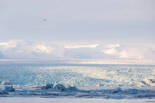Uma Vista Panorâmica Lagoa Glacial Jokulsarlon Islândia — Fotografia de Stock