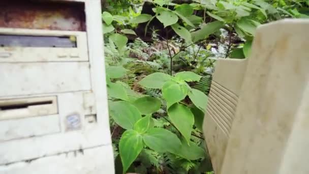 Ormandaki Eski Bilgisayarın Yakın Çekim Görüntüleri — Stok video