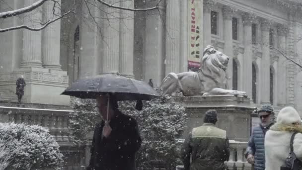 New York Veřejná Knihovna Městě Zimě — Stock video