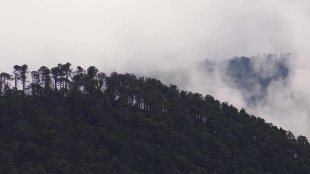 Hermoso Paisaje Con Árbol Las Montañas — Vídeos de Stock