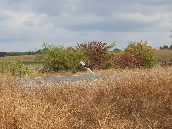 Camino Campos Secos Verano Día Nublado —  Fotos de Stock