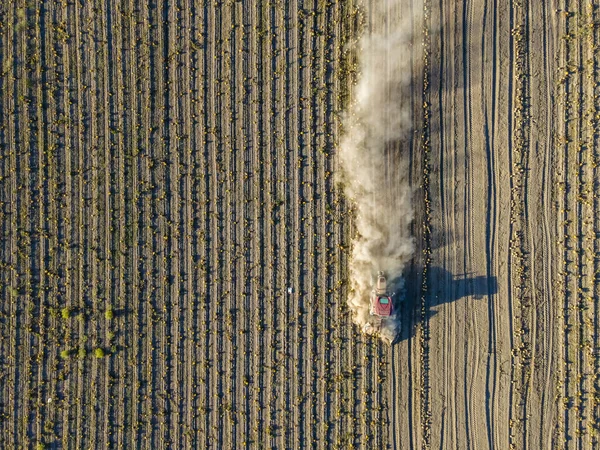 Cosecha Calabaza Con Tractor Kayseri — Foto de Stock