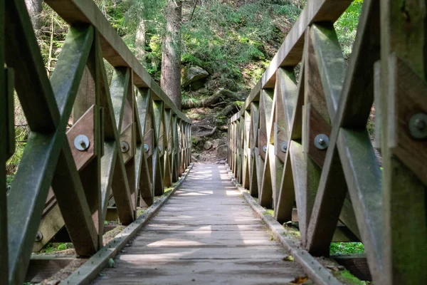 Bel Colpo Ponte Legno Che Conduce Una Foresta — Foto Stock