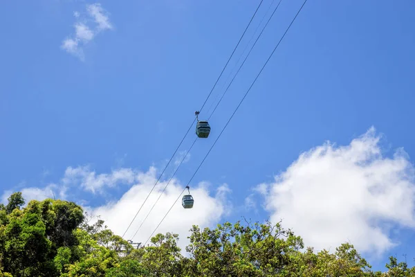 Skyrail Rainforest Cableway Γόνδολες Πάνω Από Τροπικό Δάσος Κοντά Στο — Φωτογραφία Αρχείου