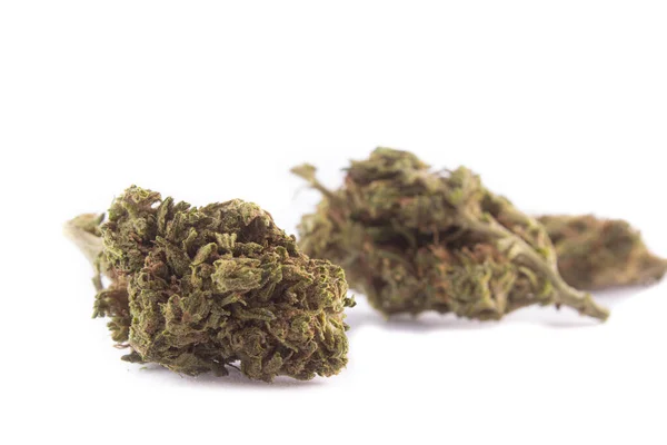 Primer Plano Cannabis Aislado Sobre Fondo Blanco —  Fotos de Stock