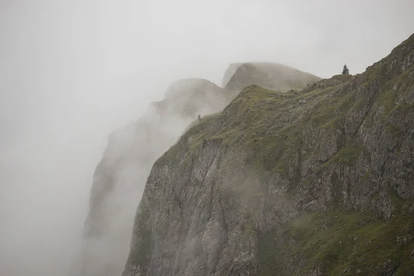 Montagne Nebbia Nel Parco Nazionale Berchtesgaden Alpi Bavaresi Germania — Foto Stock