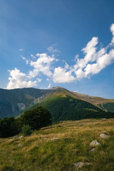 Une Belle Vue Depuis Colline Ciel Bleu Ensoleillé — Photo