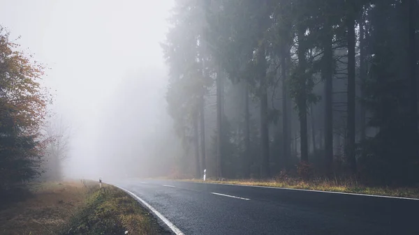 Une Route Brumeuse Humide Entourée Arbres Sources — Photo