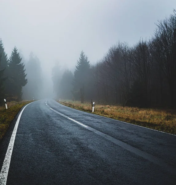 Une Route Brumeuse Humide Entourée Arbres Sources — Photo