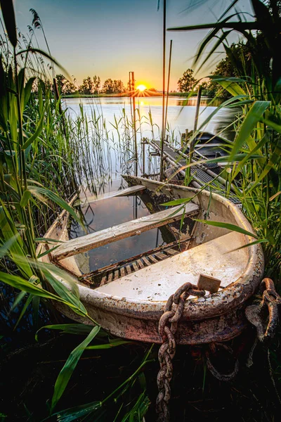 Disparo Vertical Viejo Bote Abandonado Estanque Durante Amanecer —  Fotos de Stock