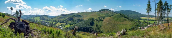 晴れた日の緑の丘や森のパノラマビュー — ストック写真