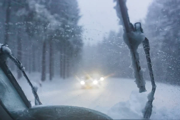 Şoförün Kışın Ormanın Içinden Geçen Yol Manzarası — Stok fotoğraf