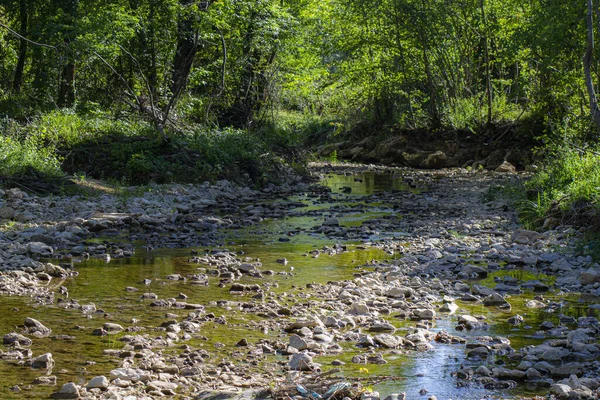 乾燥した川のある森の景色 — ストック写真
