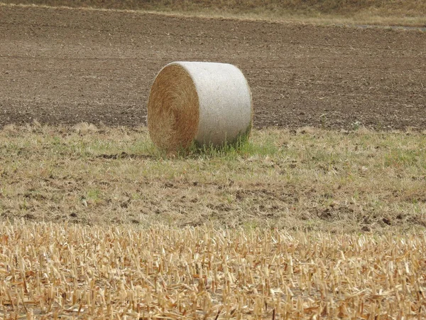 Een Hooibaal Landbouwgebied — Stockfoto