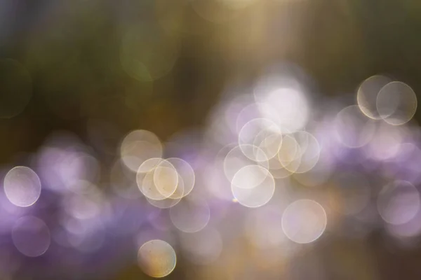 Hermoso Brillante Borroso Bokeh Luces Fondo — Foto de Stock