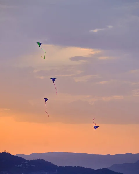Vertical Shot Kites Flying Colorful Sunset Sky — Stock Photo, Image