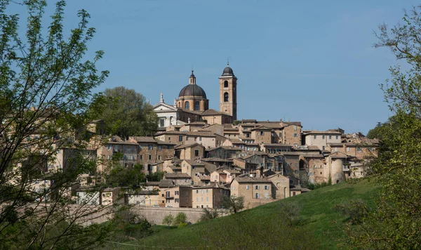 Gyönyörű Kilátás Nyílik Katedrális Óváros Urbino Marches Region Olaszország — Stock Fotó
