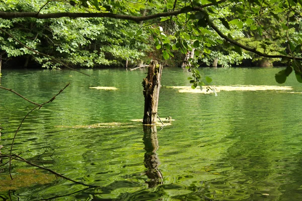 Panoramaaufnahme Eines Sees Mit Grünen Bäumen Die Sich Wasser Spiegeln — Stockfoto