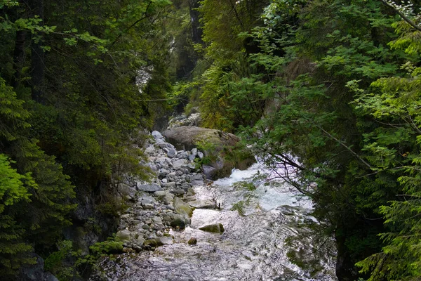 Córrego Que Flui Nas Rochas Uma Floresta — Fotografia de Stock