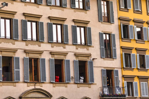 Een Close Van Prachtige Gebouwen Met Open Ramen Florence Italië — Stockfoto