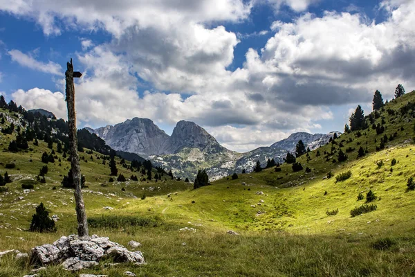 Uno Splendido Paesaggio Verdi Montagne Una Giornata Sole — Foto Stock