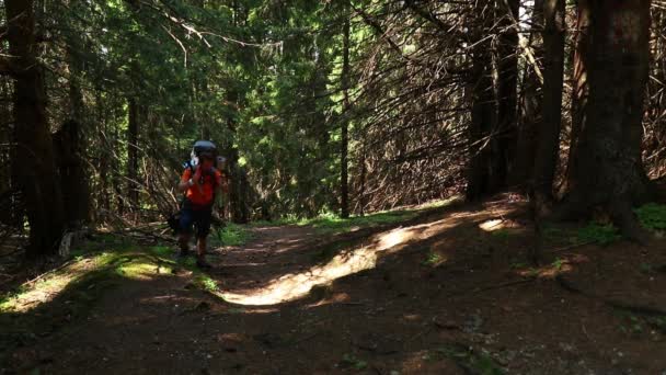 Junger Mann Wandert Den Bergen — Stockvideo