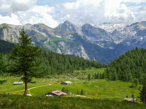 Gyönyörű Természeti Táj Gotzenalm Hegyek Teufelshorn Hochkoenig Hátul Berchtesgaden Nemzeti — Stock Fotó