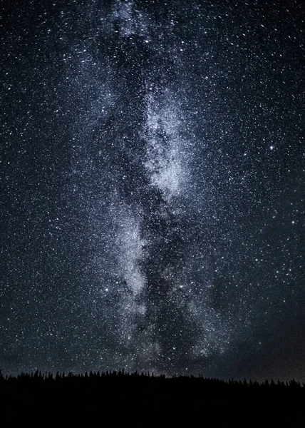 風景の上に明るい星空の夜の垂直シルエットのショット — ストック写真