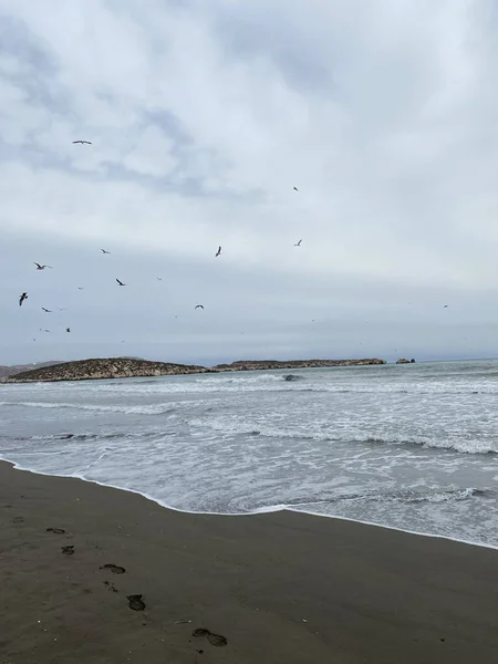 Чайки Летающие Над Пляжем Sfiha Эль Хосейма Марокко — стоковое фото
