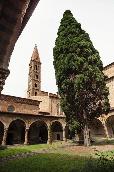 Primer Plano Vertical Del Jardín Torre Basílica Santa Maria Novella — Foto de Stock