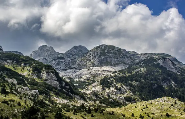 Uno Splendido Paesaggio Verdi Montagne Una Giornata Sole — Foto Stock