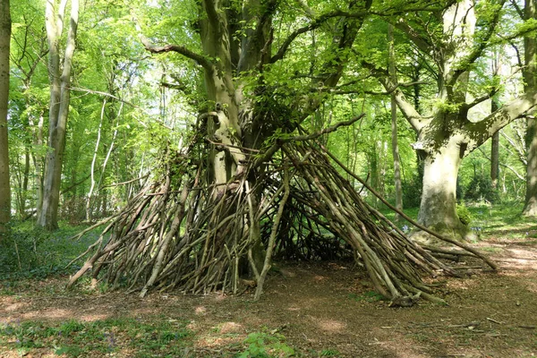 Wigwam Fait Branches Arbres Bâtons Dans Une Clairière Boisée Hêtres — Photo