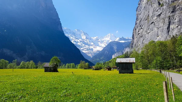Bonito Prado Com Vista Para Enormes Montanhas Vale Lauterbrunnen Suíça — Fotografia de Stock