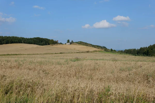 Hayfields Στην Περιφέρεια Hessen Της Γερμανίας Στην Uplandsteig Γερμανία — Φωτογραφία Αρχείου