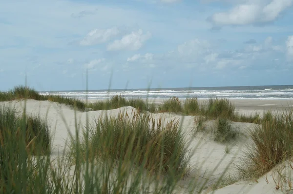 Beau Cliché Une Plage Emportée Par Les Vagues Mer — Photo