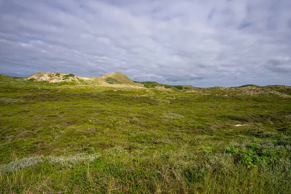 Uma Paisagem Prado Coberto Grama Sob Céu Azul Nublado Campo — Fotografia de Stock