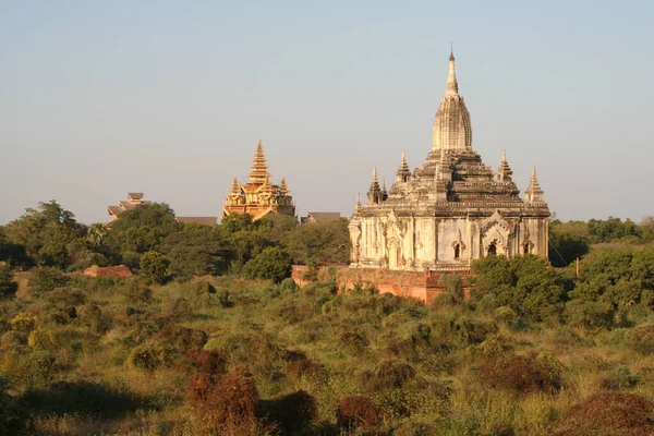 Famoso Templo Budista Antiguo Shwegu Gyi Phaya Rodeado Árboles Día —  Fotos de Stock