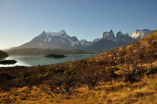 Ősz Lago Pehoe Ban Torres Del Paine Nemzeti Park Patagónia — Stock Fotó