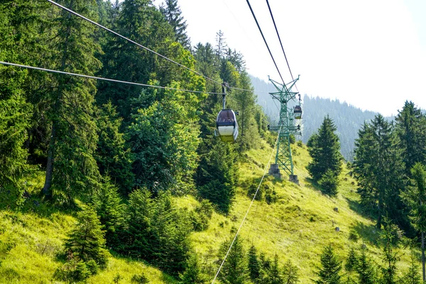 Der Grüne Wald Mit Dem Berg Hintergrund — Stockfoto