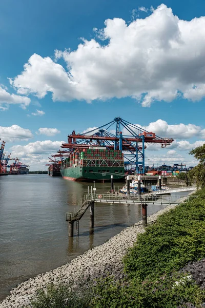 Hamburg Tyskland Aug 2021 Ett Vertikalt Skott Containerfartyget Evergreen Ever — Stockfoto