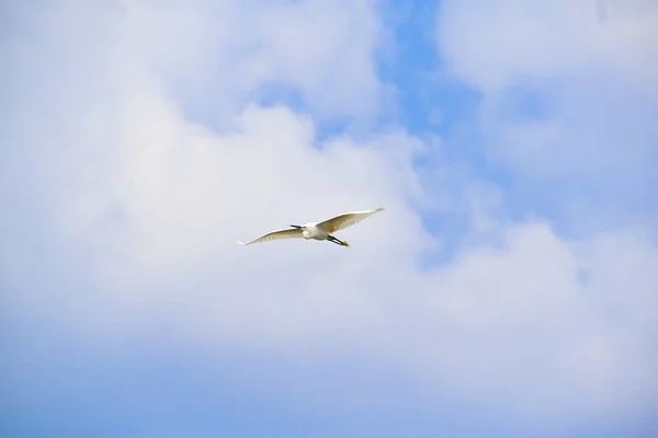 Uma Torre Voando Céu — Fotografia de Stock