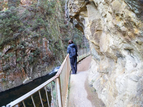 Paeroa Nueva Zelanda 2021 Una Turista Pista Karangahake Gorge Paeroa —  Fotos de Stock