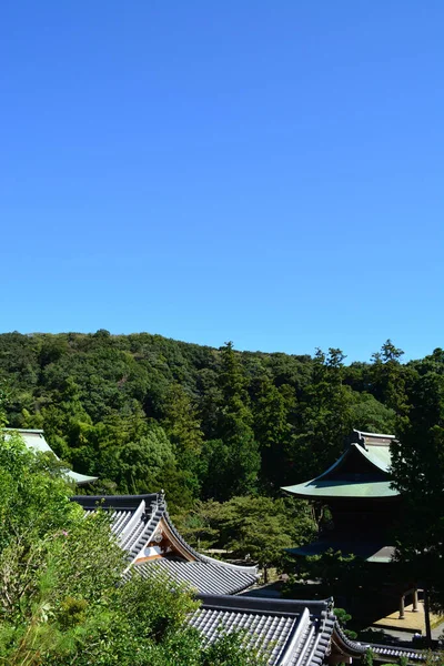 Een Verticaal Shot Van Daken Van Japanse Huizen Het Bos — Stockfoto